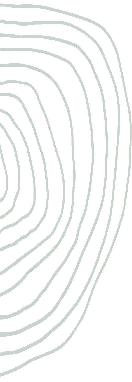 Background Taek Root